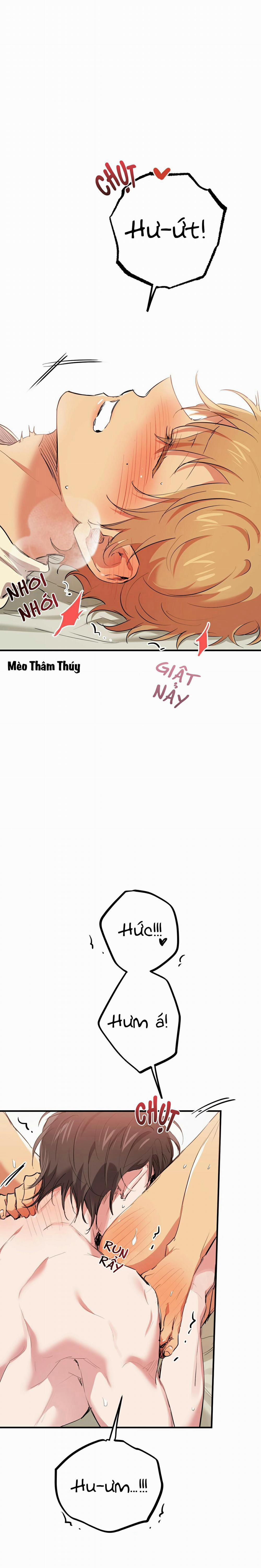 Những Chú Thỏ Của Habibi 38 trang 8