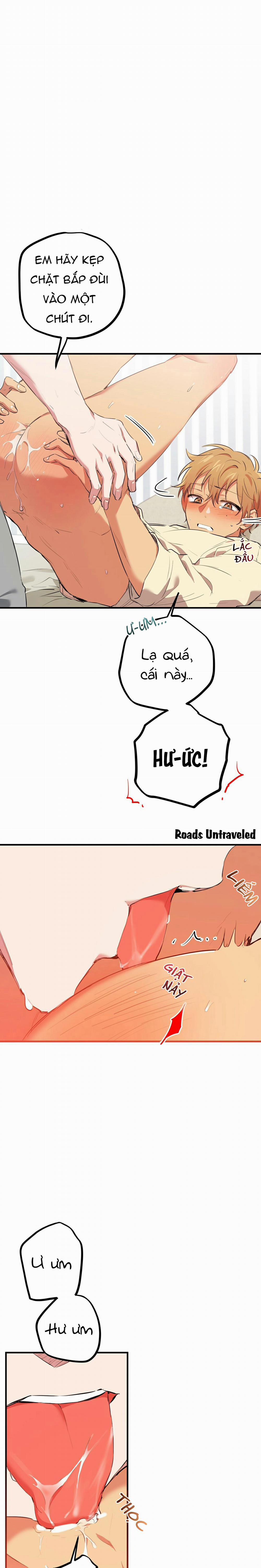 Những Chú Thỏ Của Habibi 38 trang 9