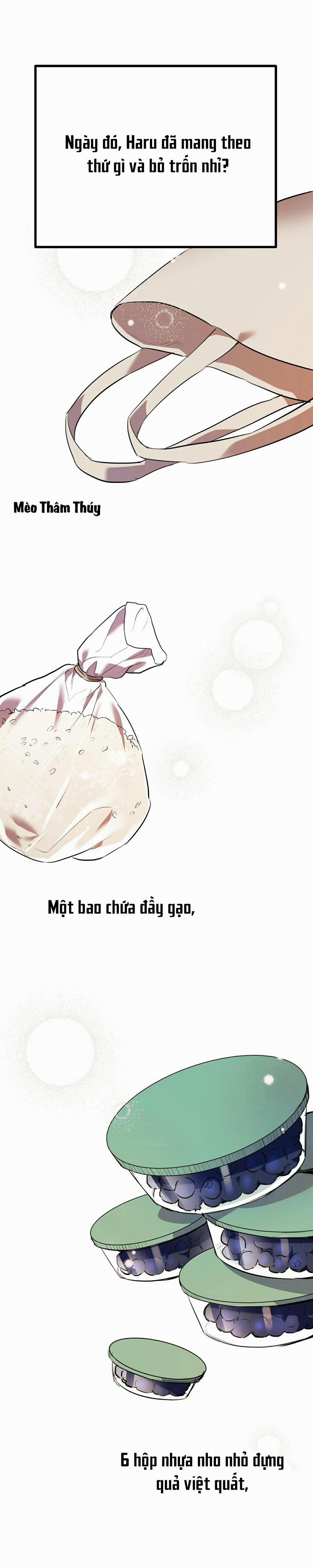 Những Chú Thỏ Của Habibi 39 trang 0