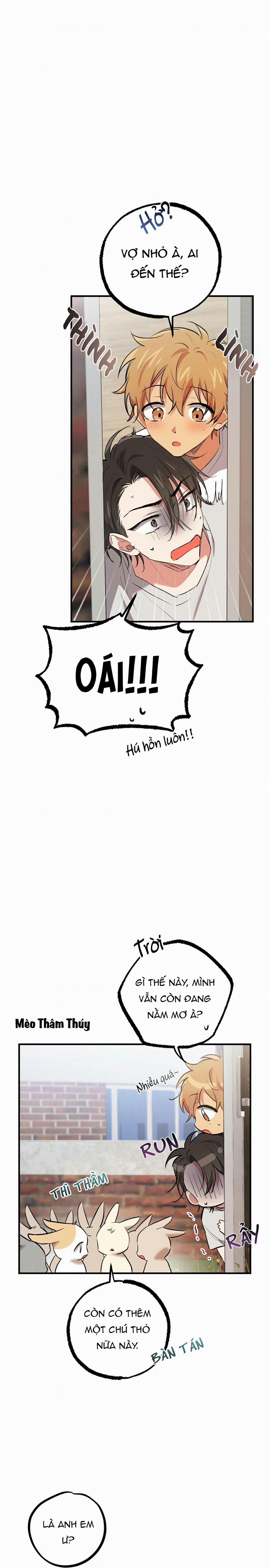 Những Chú Thỏ Của Habibi 39 trang 10