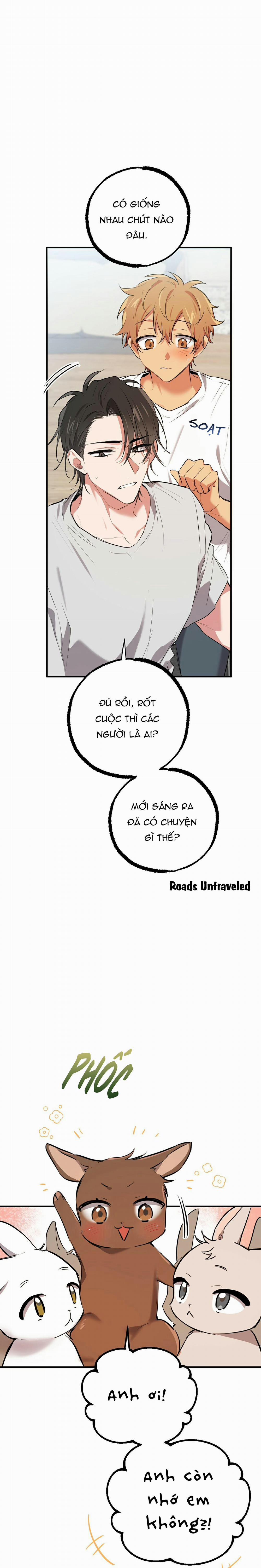 Những Chú Thỏ Của Habibi 39 trang 11