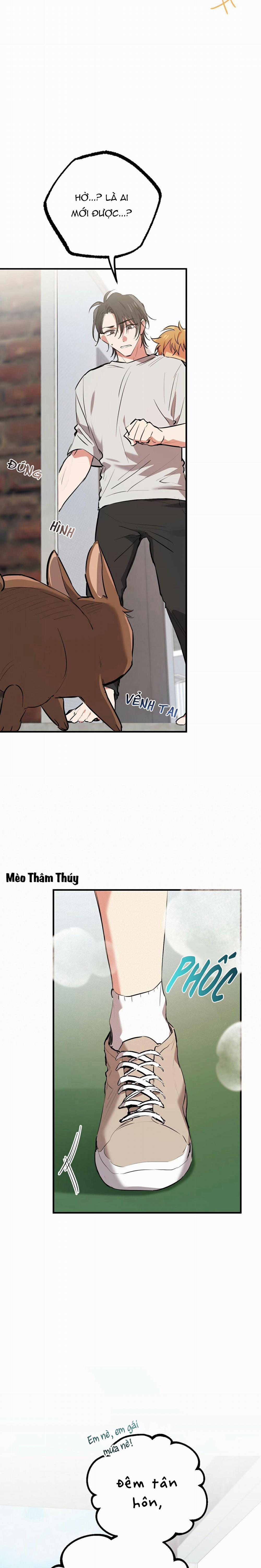 Những Chú Thỏ Của Habibi 39 trang 12