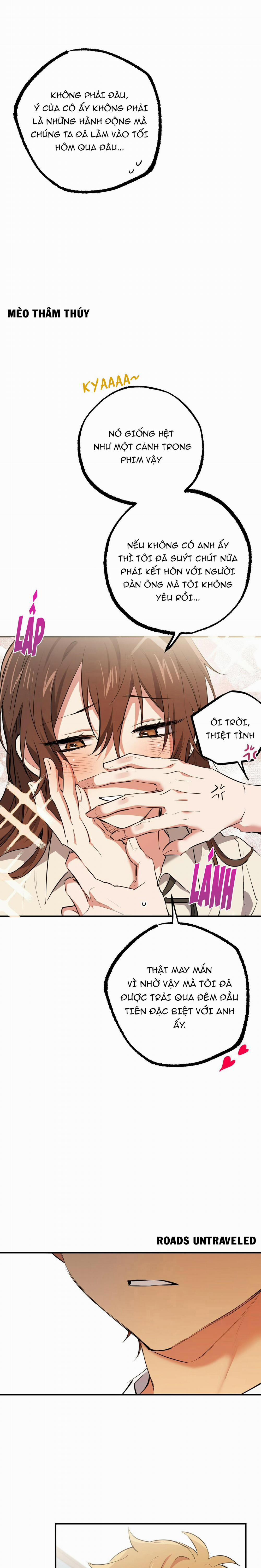 Những Chú Thỏ Của Habibi 39 trang 17