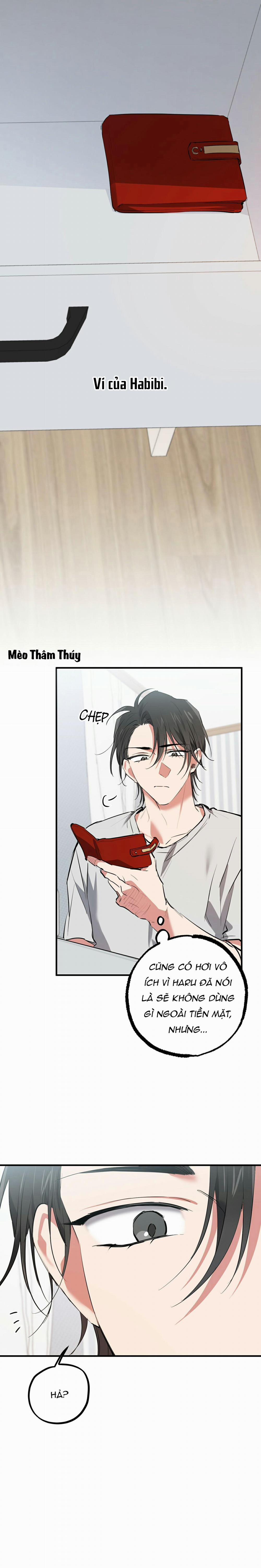 Những Chú Thỏ Của Habibi 39 trang 2