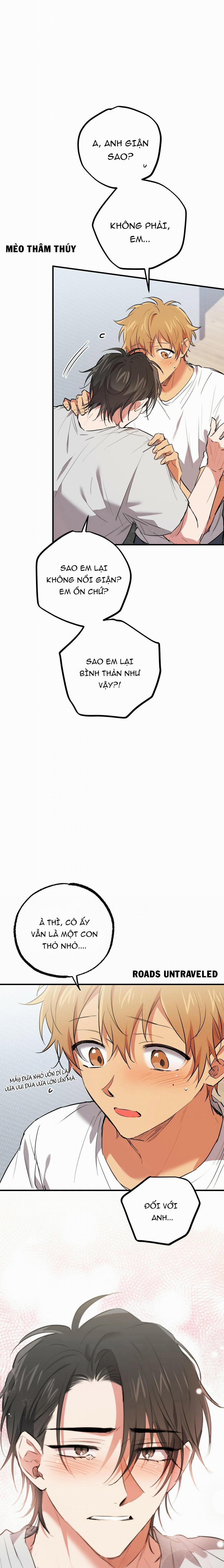 Những Chú Thỏ Của Habibi 39 trang 21