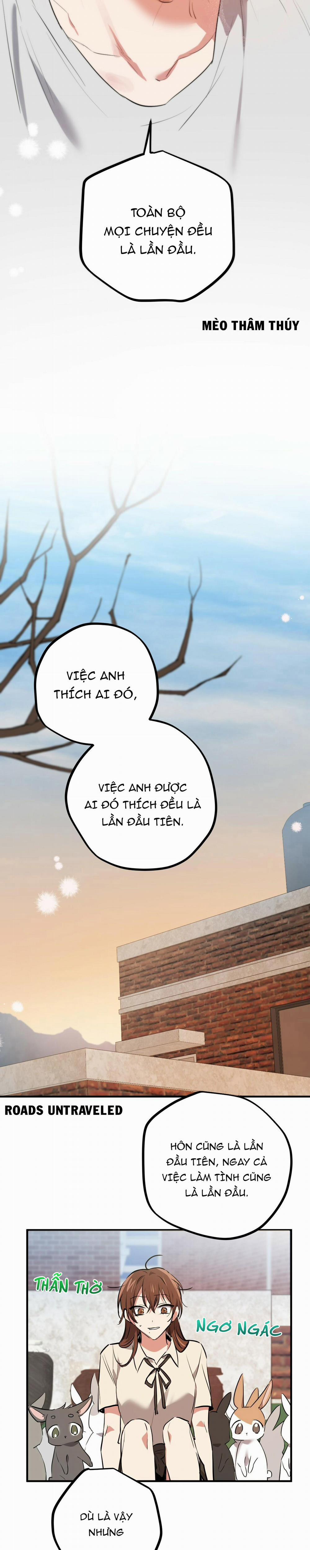 Những Chú Thỏ Của Habibi 39 trang 22