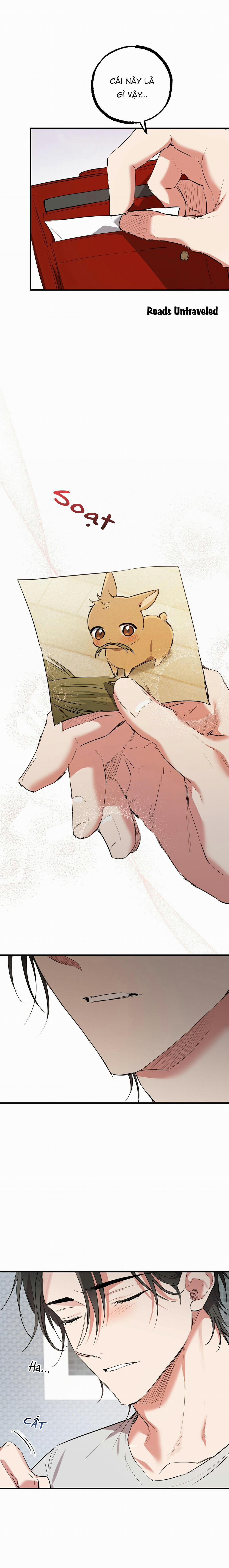 Những Chú Thỏ Của Habibi 39 trang 3