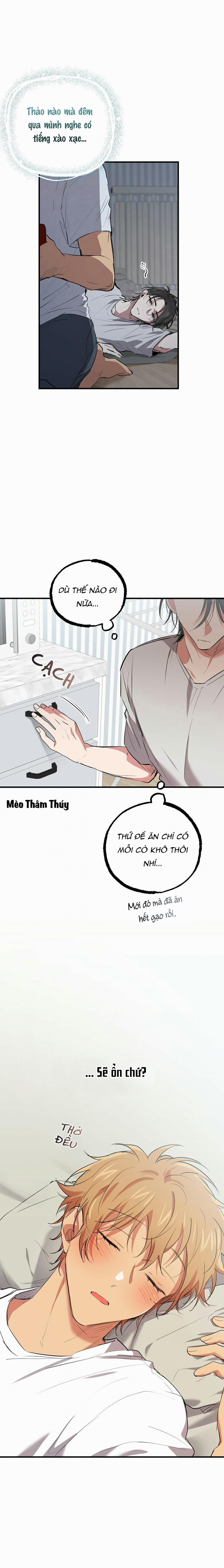 Những Chú Thỏ Của Habibi 39 trang 4