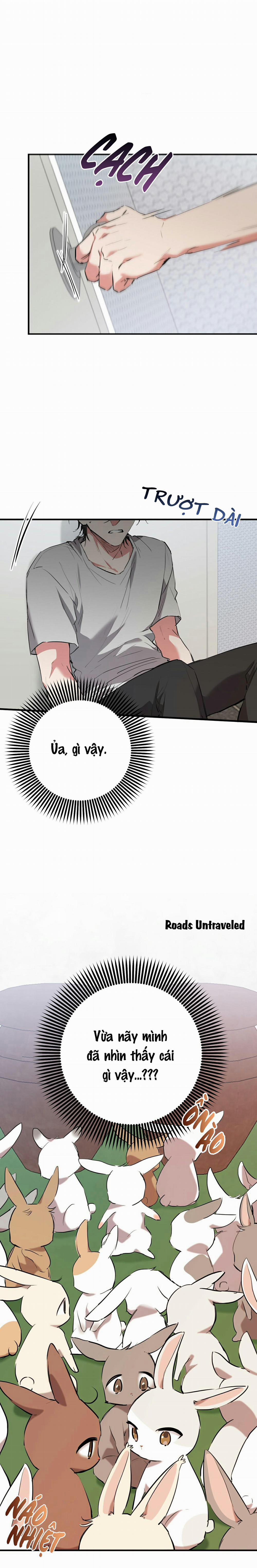 Những Chú Thỏ Của Habibi 39 trang 7