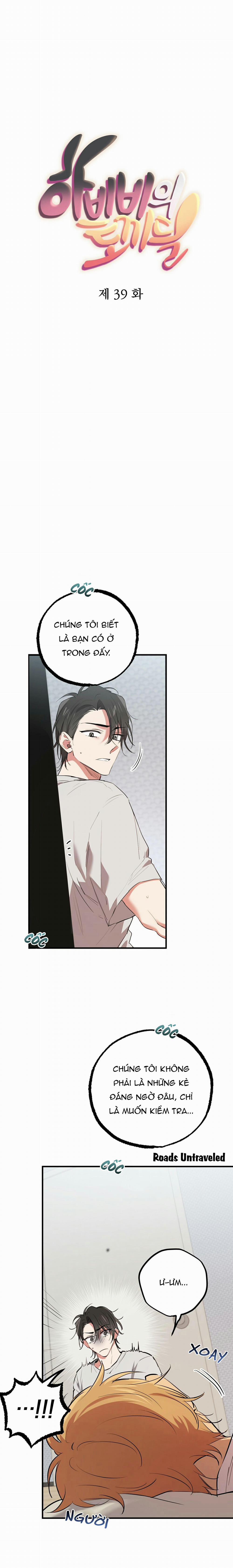 Những Chú Thỏ Của Habibi 39 trang 8