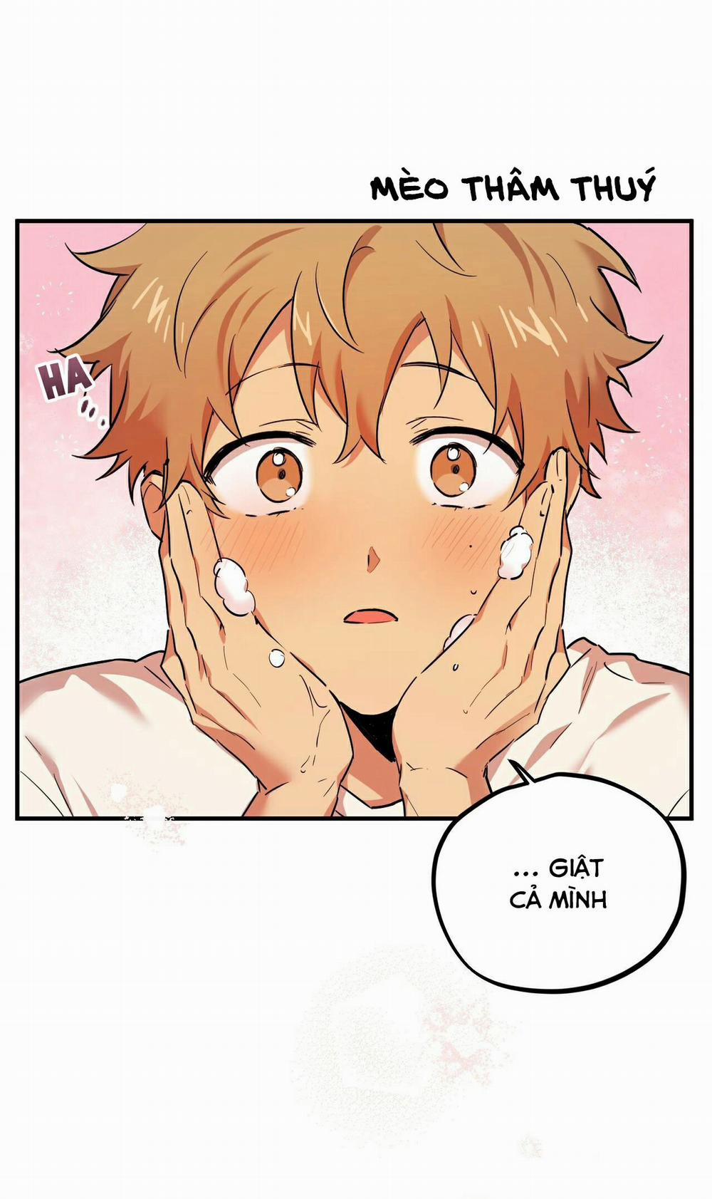 Những Chú Thỏ Của Habibi 4 trang 12