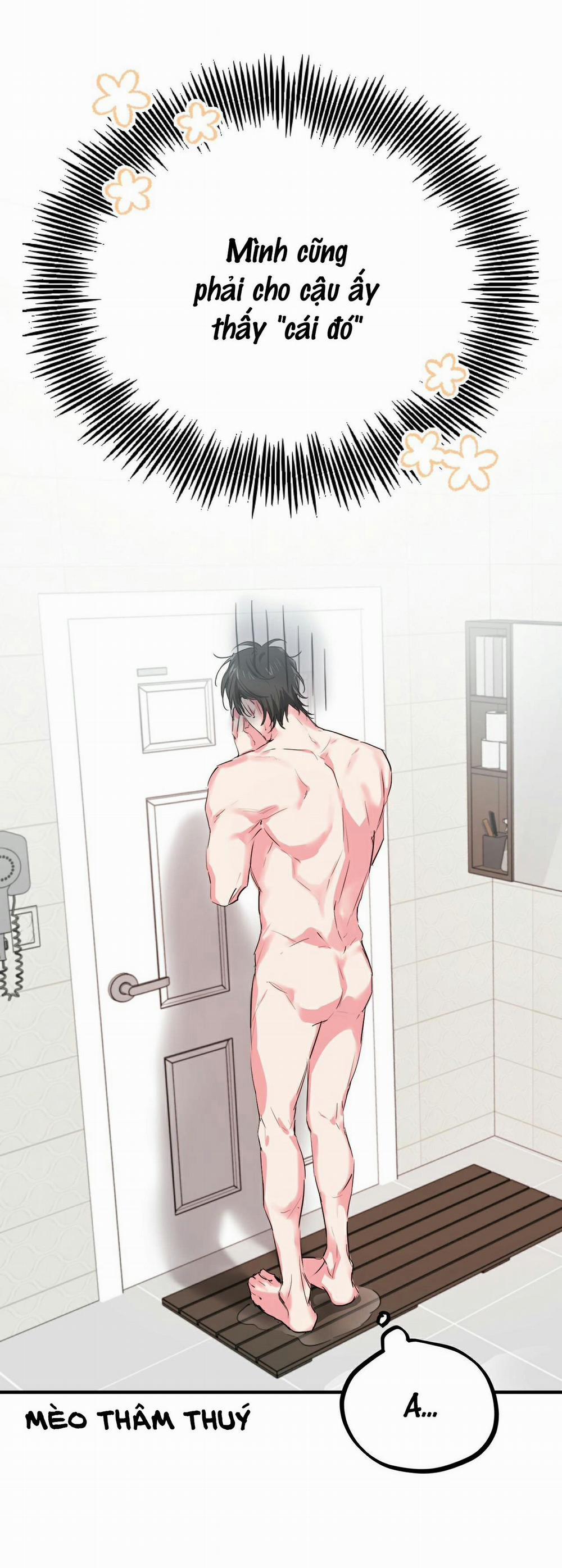 Những Chú Thỏ Của Habibi 4 trang 19