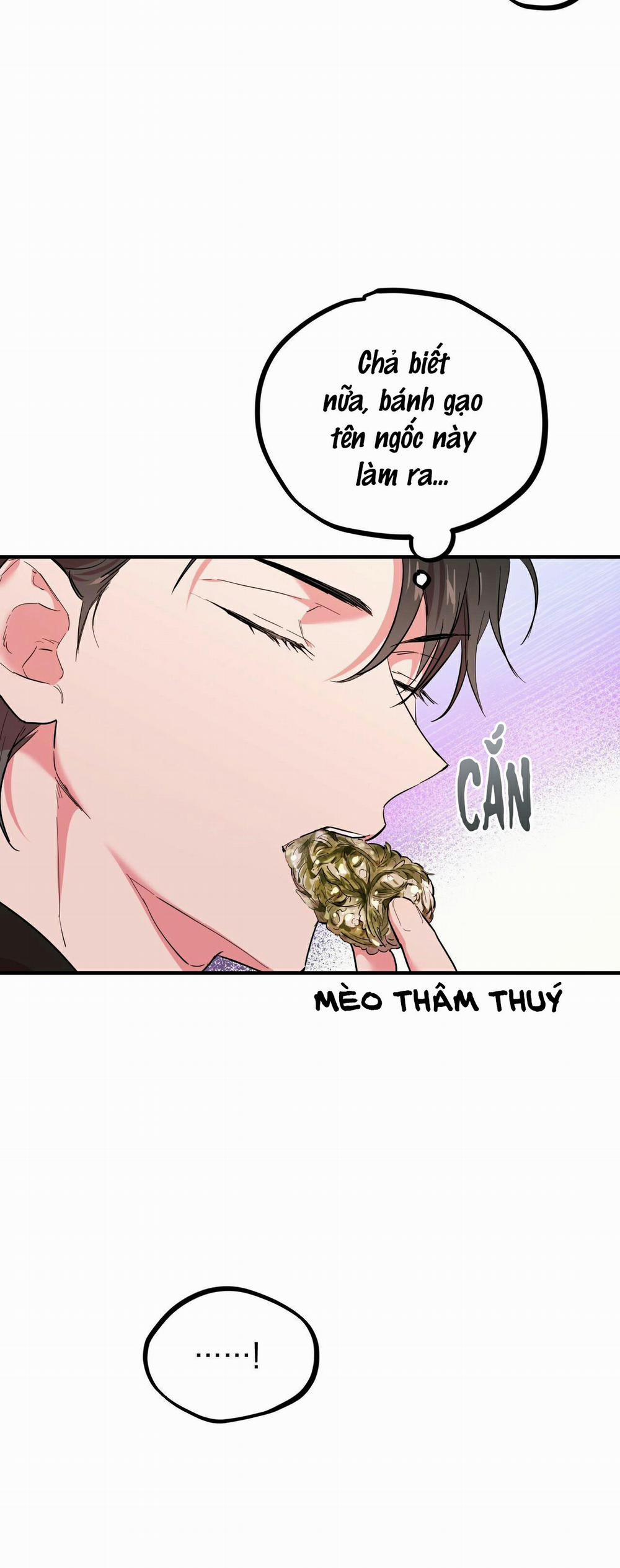 Những Chú Thỏ Của Habibi 4 trang 39