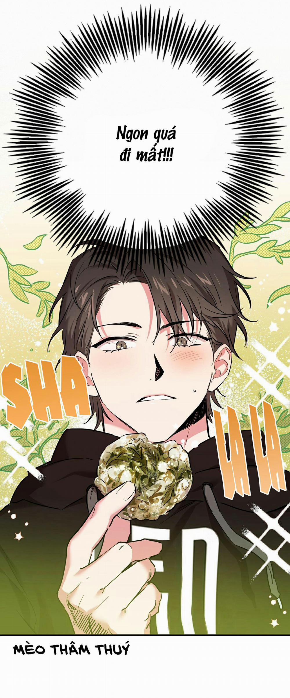 Những Chú Thỏ Của Habibi 4 trang 41