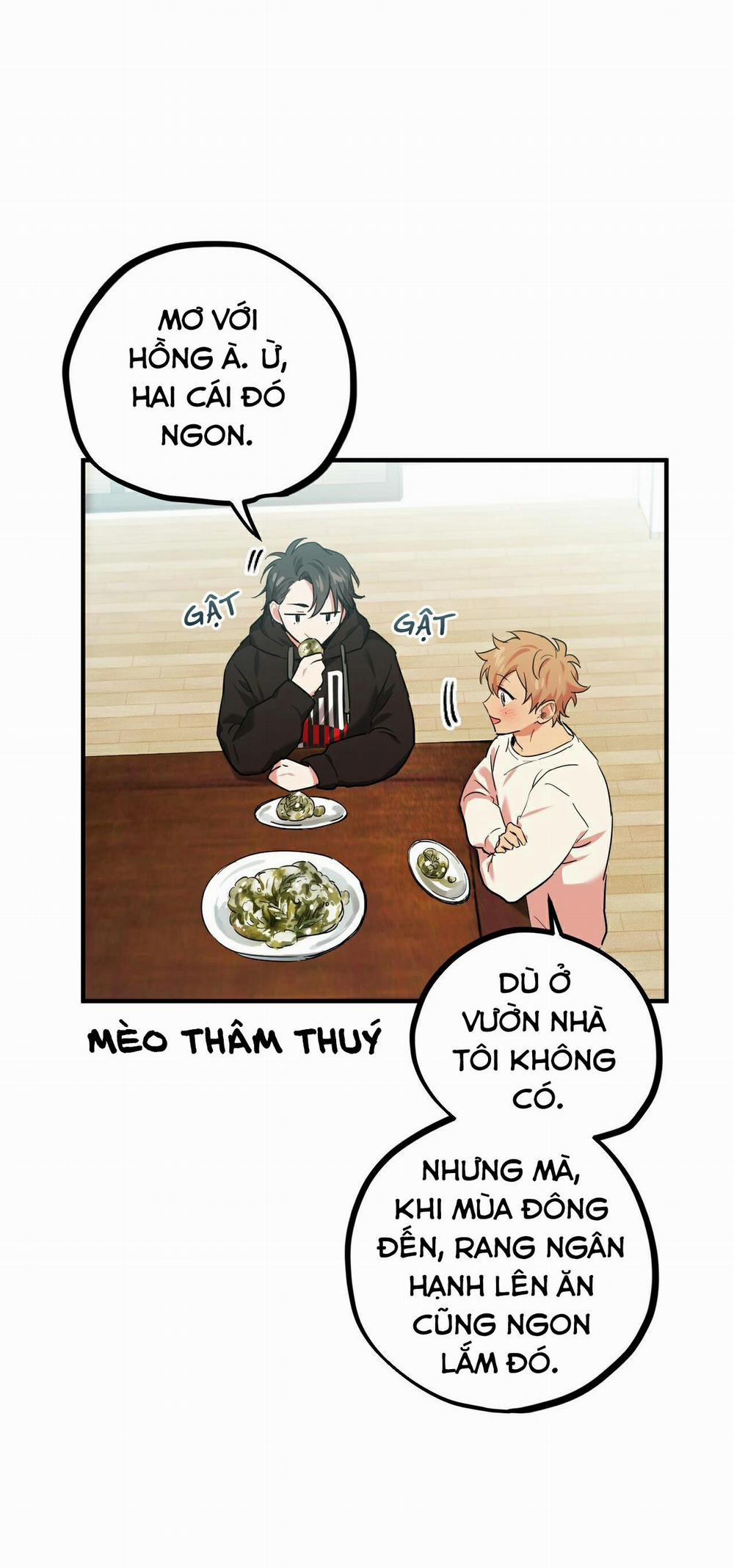 Những Chú Thỏ Của Habibi 4 trang 44