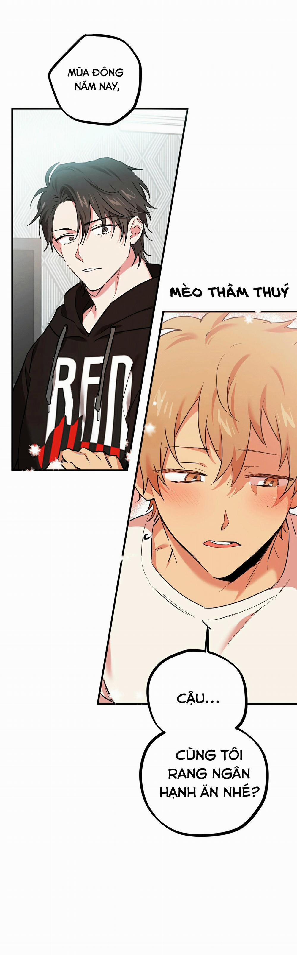 Những Chú Thỏ Của Habibi 4 trang 48