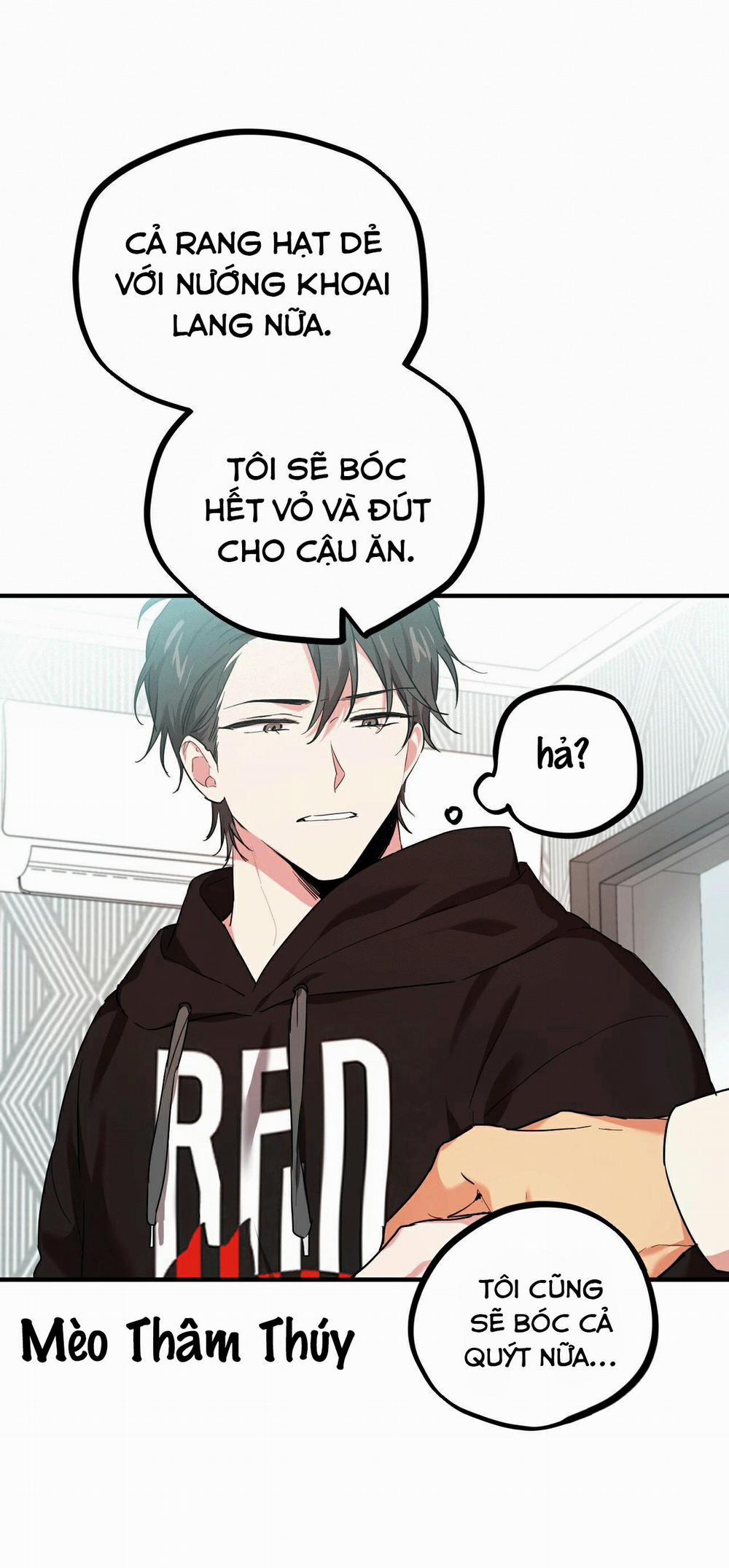 Những Chú Thỏ Của Habibi 4 trang 49