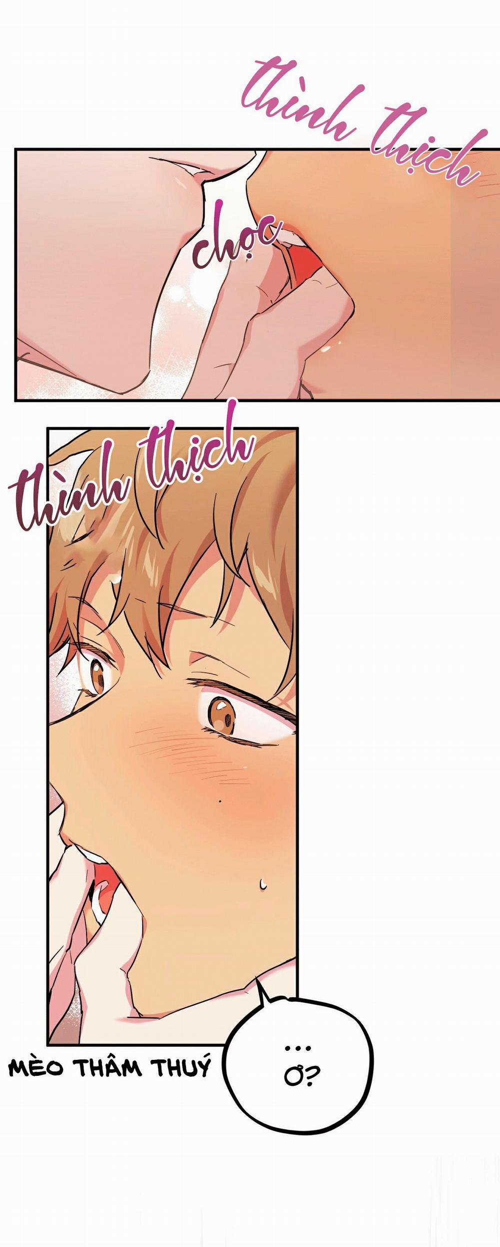 Những Chú Thỏ Của Habibi 4 trang 59