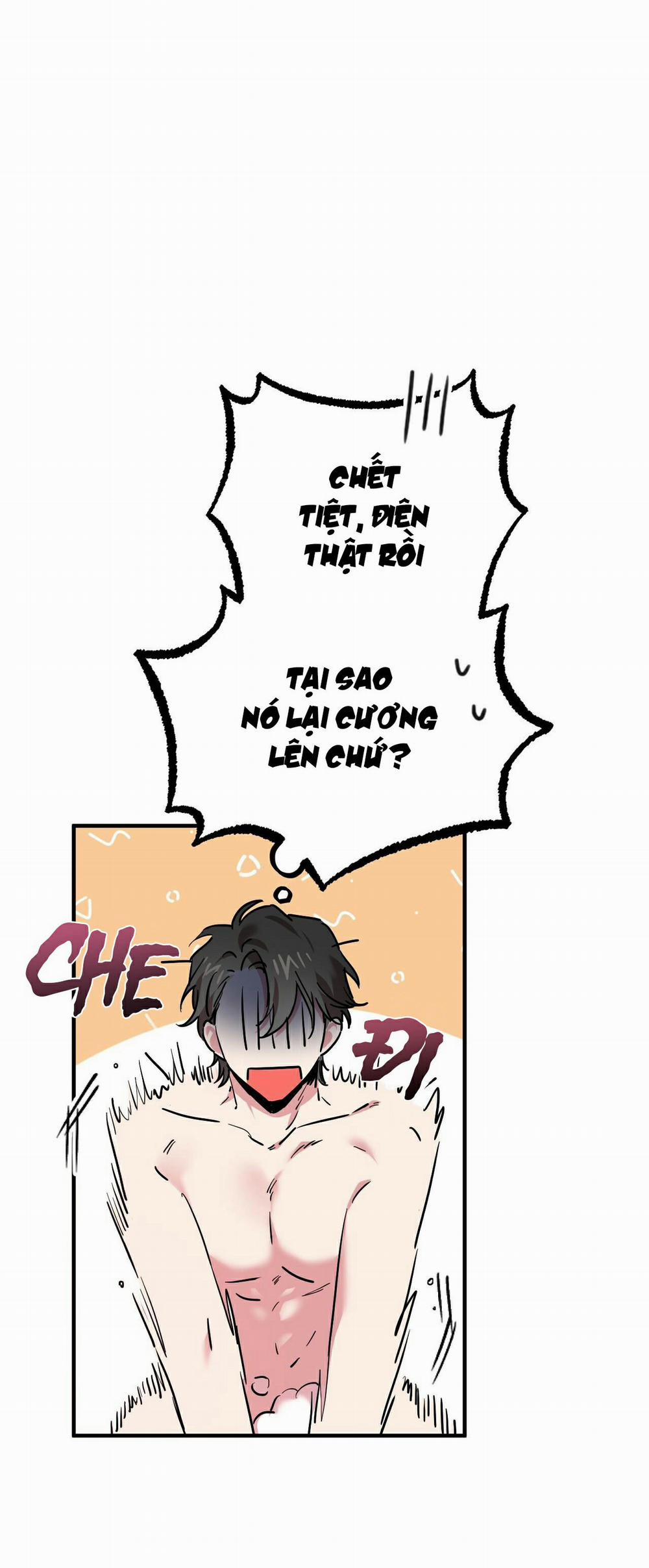 Những Chú Thỏ Của Habibi 4 trang 6