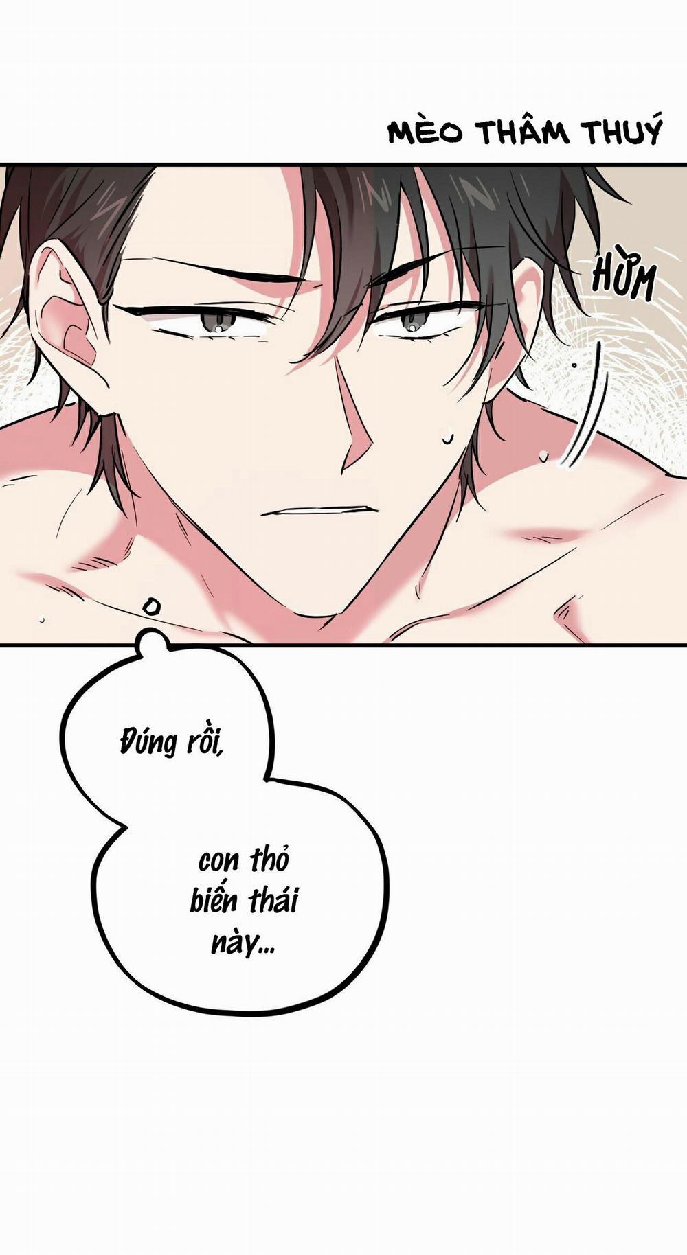 Những Chú Thỏ Của Habibi 4 trang 7