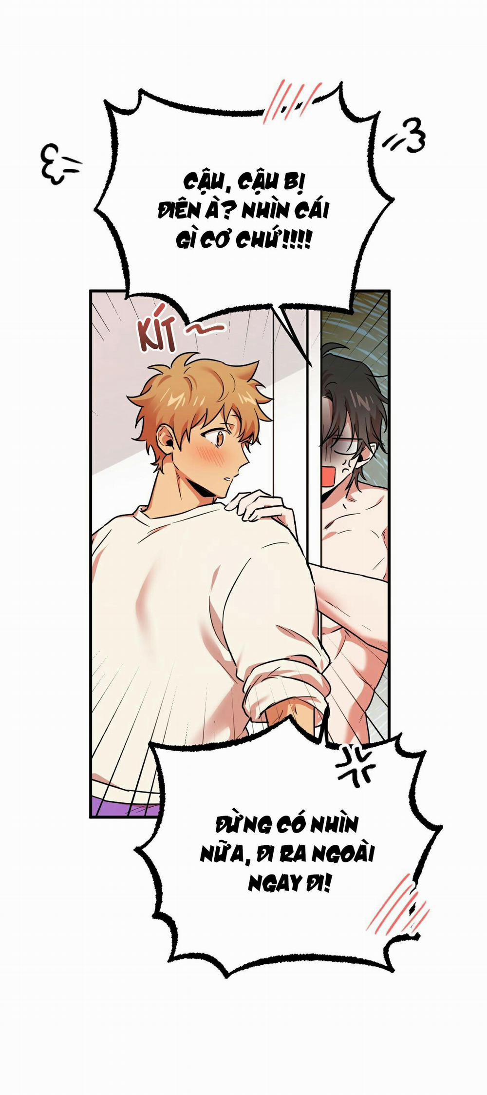 Những Chú Thỏ Của Habibi 4 trang 9