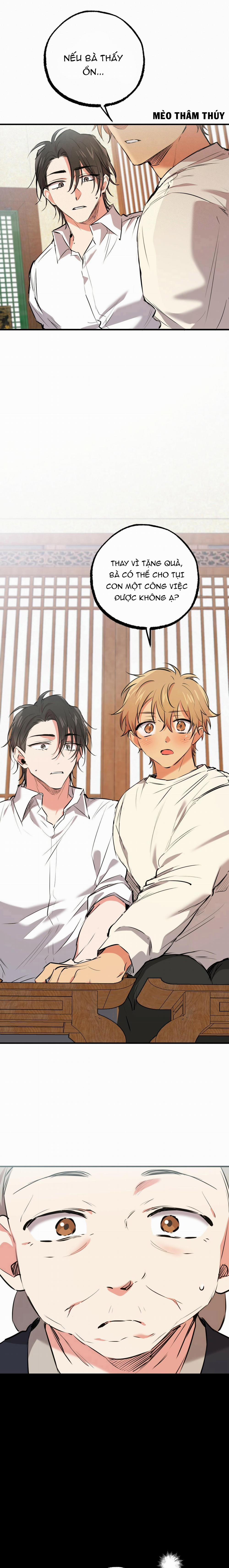 Những Chú Thỏ Của Habibi 40 trang 12