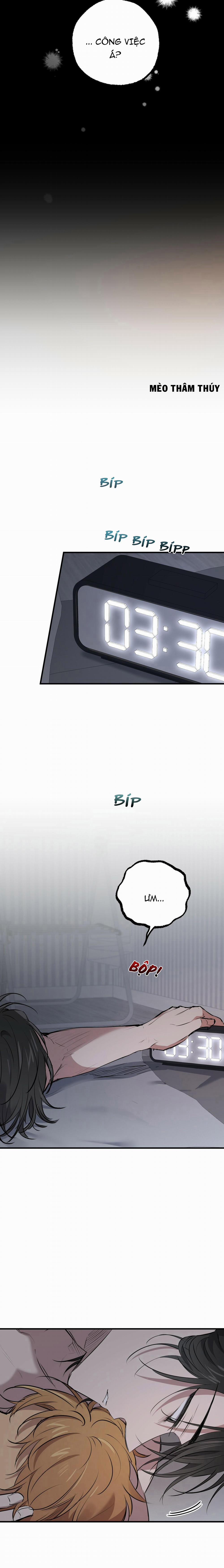 Những Chú Thỏ Của Habibi 40 trang 13