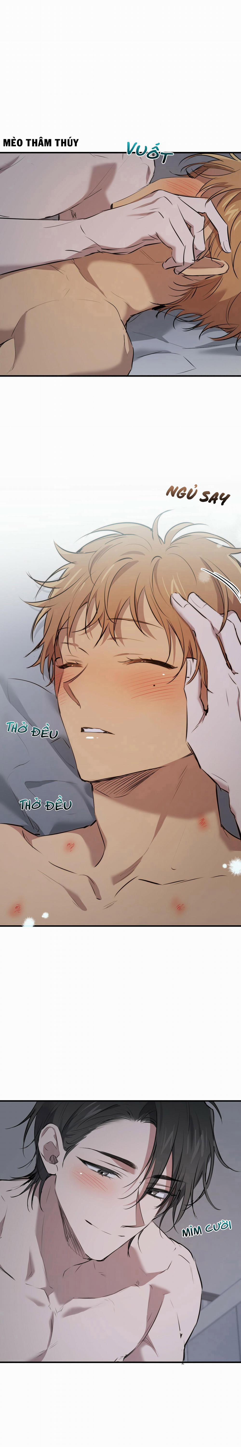 Những Chú Thỏ Của Habibi 40 trang 14