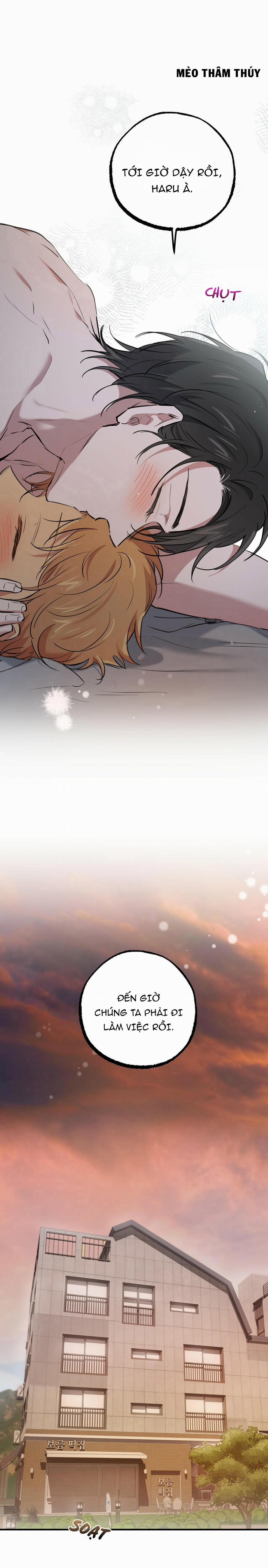 Những Chú Thỏ Của Habibi 40 trang 15