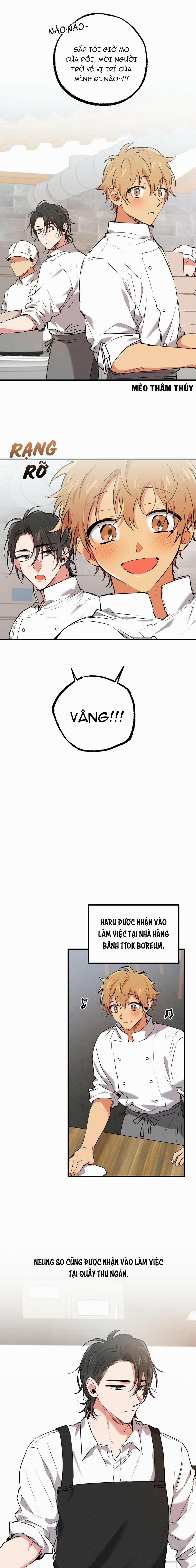 Những Chú Thỏ Của Habibi 40 trang 17