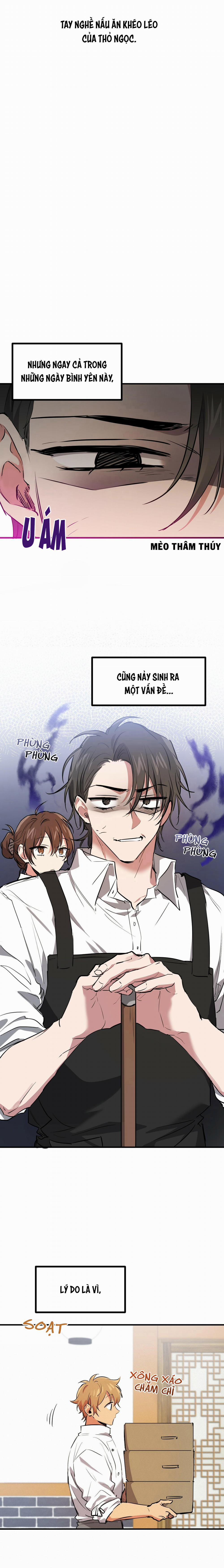 Những Chú Thỏ Của Habibi 40 trang 20