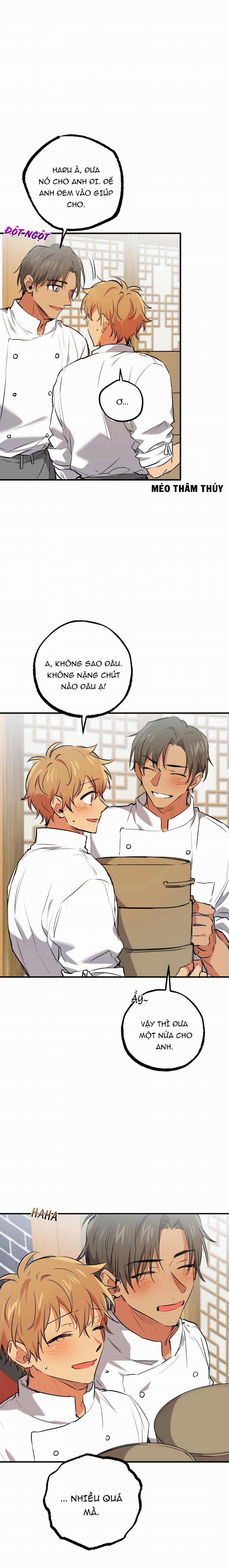 Những Chú Thỏ Của Habibi 40 trang 21