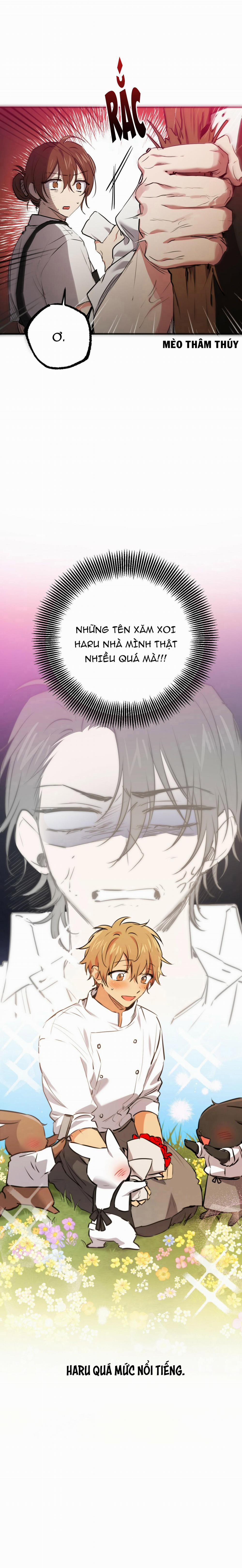 Những Chú Thỏ Của Habibi 40 trang 22