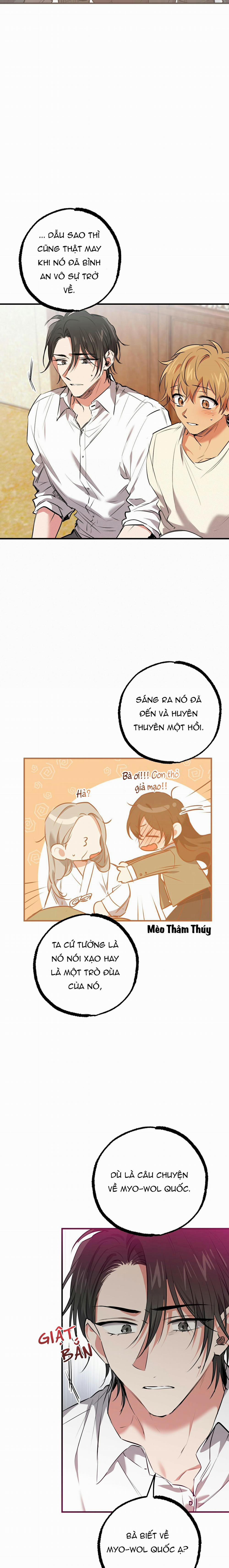 Những Chú Thỏ Của Habibi 40 trang 6