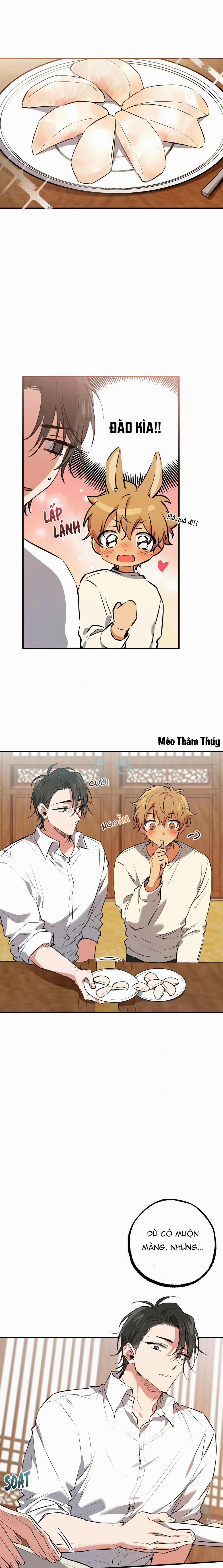 Những Chú Thỏ Của Habibi 40 trang 8