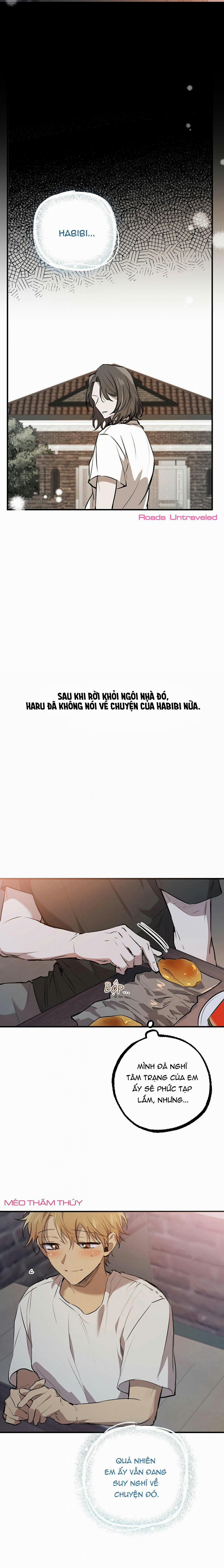 Những Chú Thỏ Của Habibi 41 trang 12