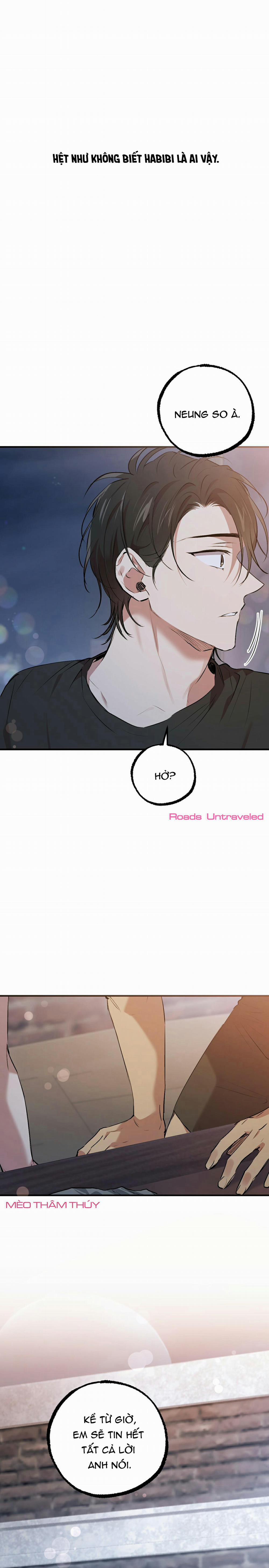 Những Chú Thỏ Của Habibi 41 trang 13