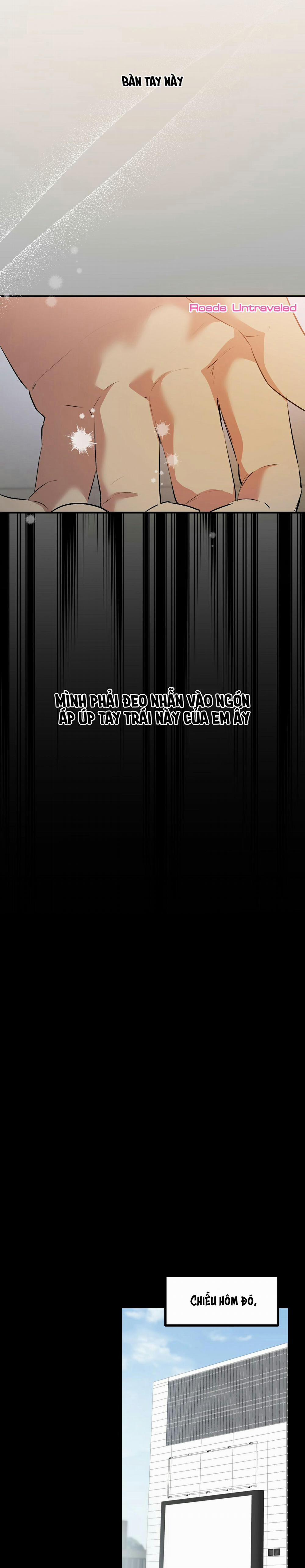 Những Chú Thỏ Của Habibi 41 trang 16