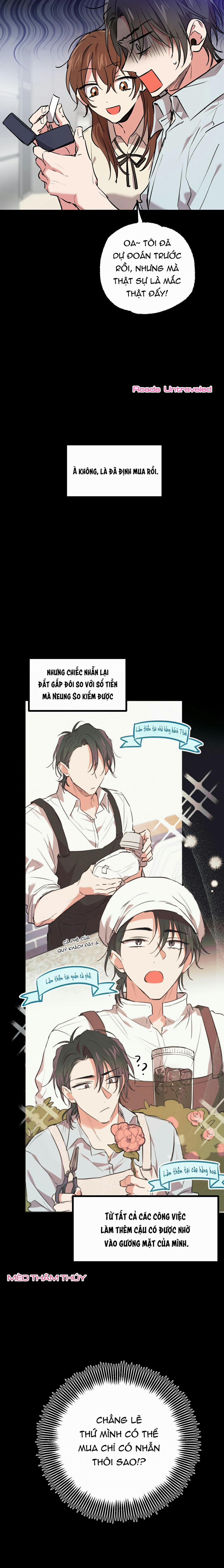 Những Chú Thỏ Của Habibi 41 trang 18