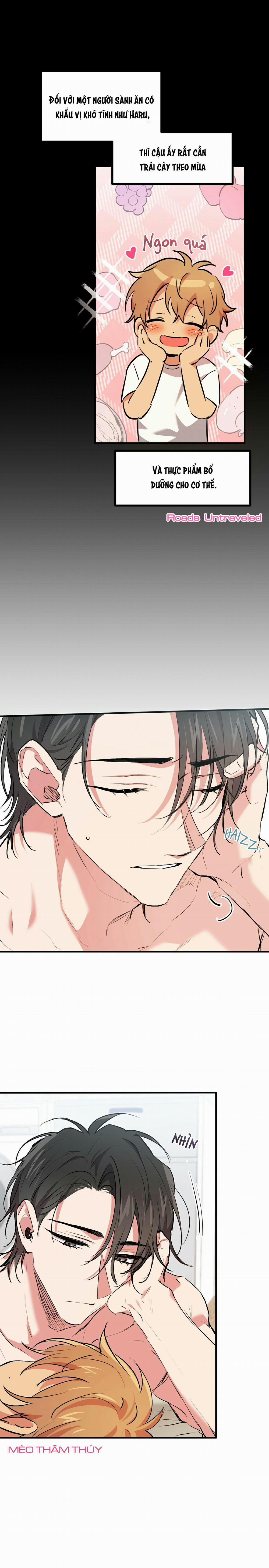 Những Chú Thỏ Của Habibi 41 trang 19