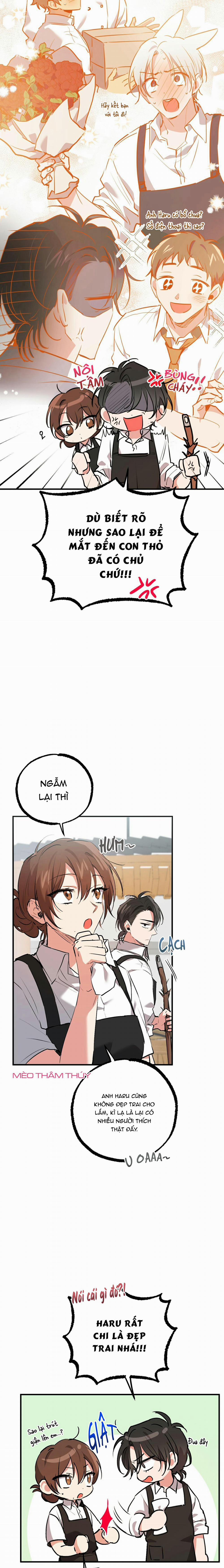 Những Chú Thỏ Của Habibi 41 trang 2