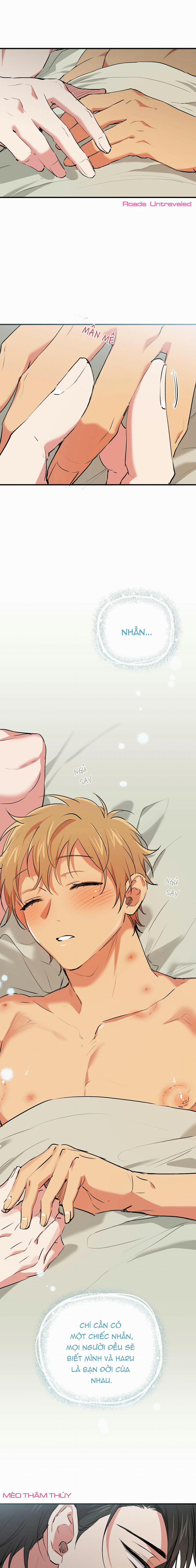 Những Chú Thỏ Của Habibi 41 trang 20