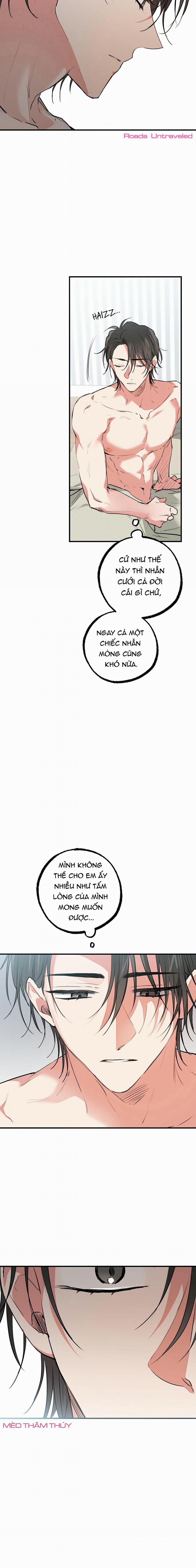 Những Chú Thỏ Của Habibi 41 trang 21