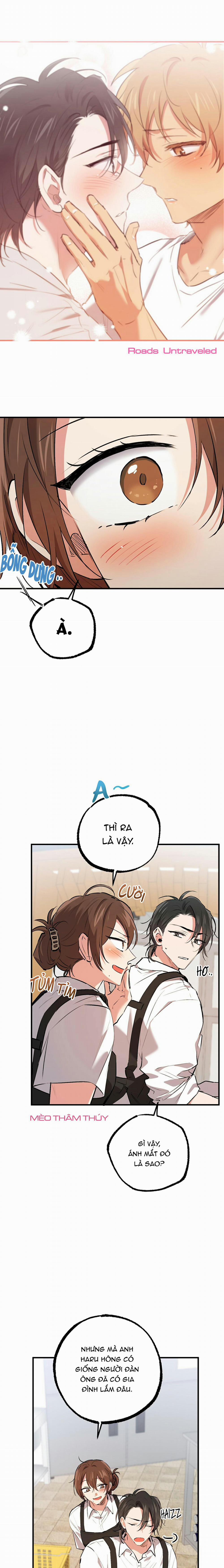 Những Chú Thỏ Của Habibi 41 trang 4