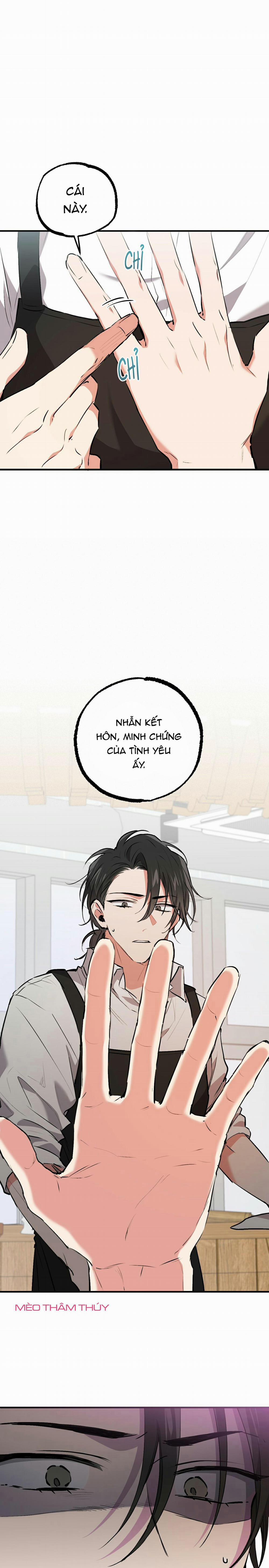 Những Chú Thỏ Của Habibi 41 trang 6