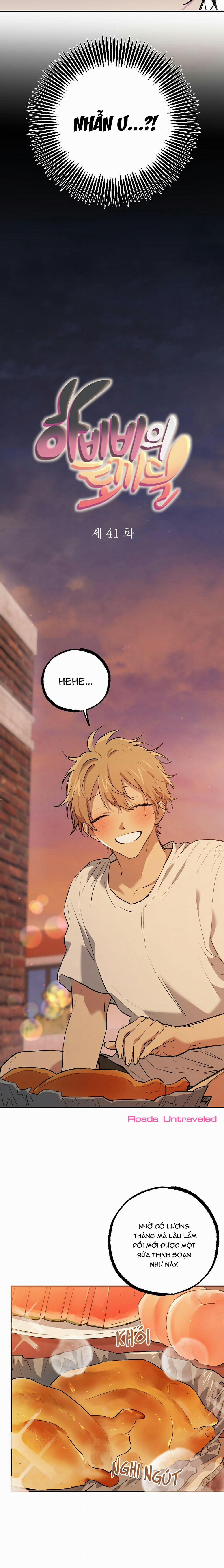 Những Chú Thỏ Của Habibi 41 trang 7