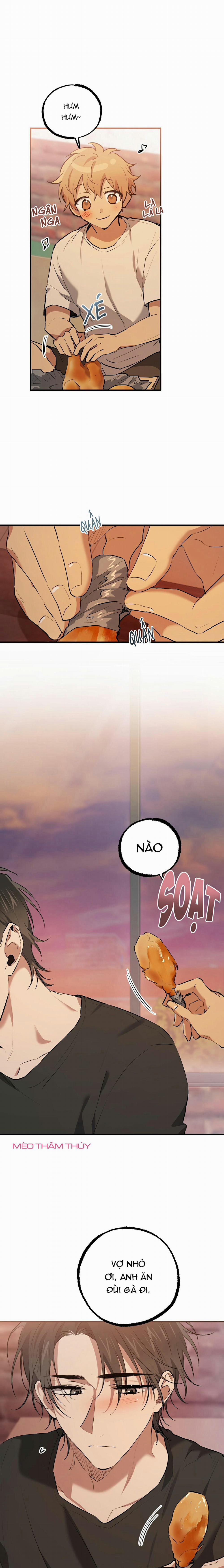 Những Chú Thỏ Của Habibi 41 trang 8