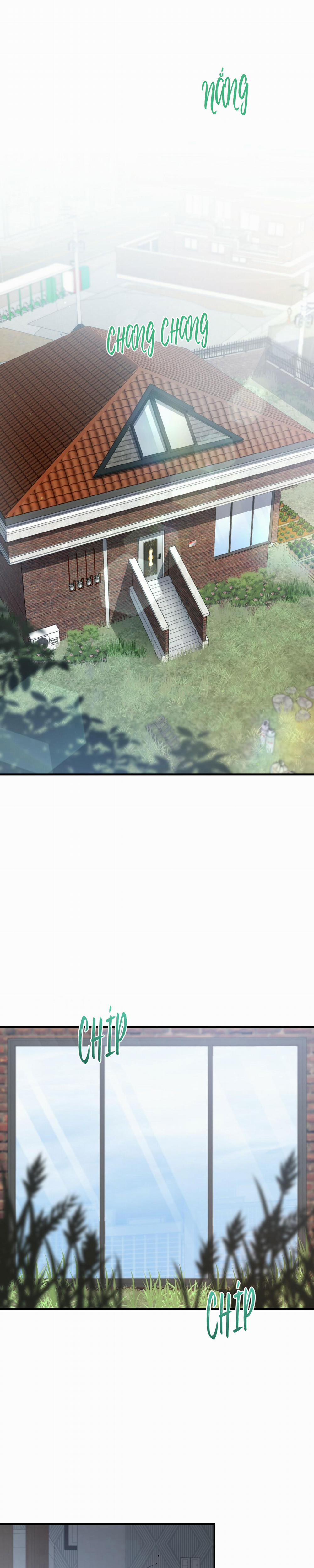 Những Chú Thỏ Của Habibi 42 trang 0