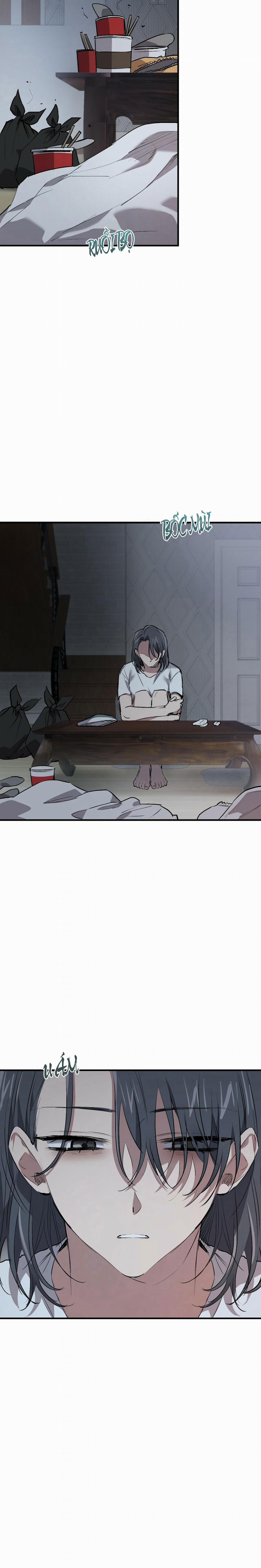 Những Chú Thỏ Của Habibi 42 trang 1