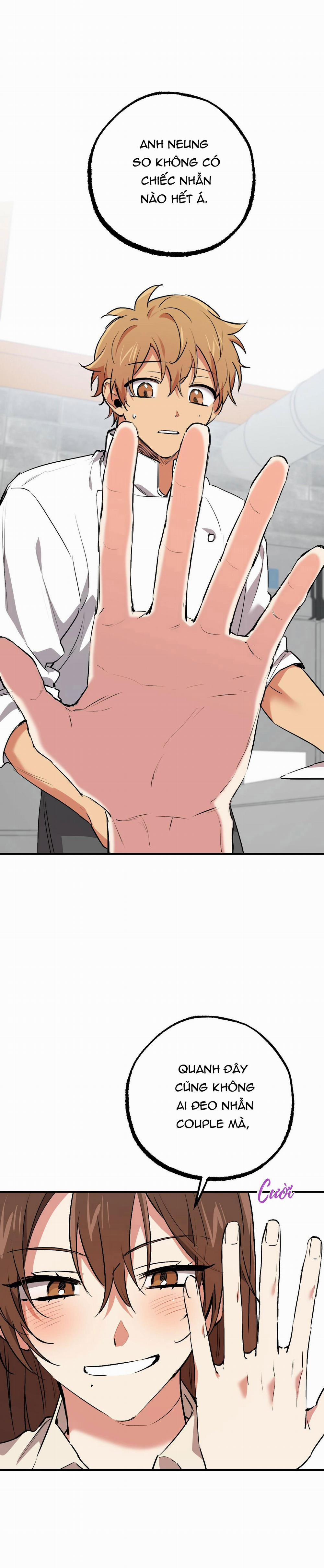 Những Chú Thỏ Của Habibi 42 trang 16